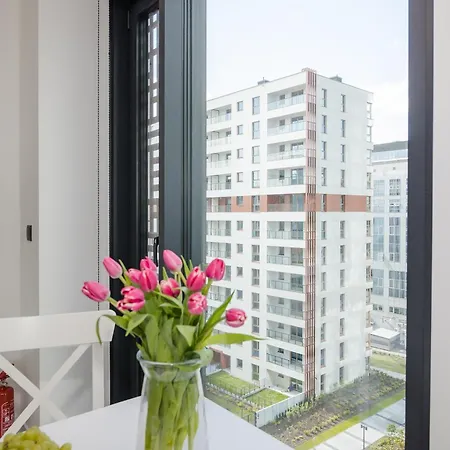 Shortstaypoland Prosta B187